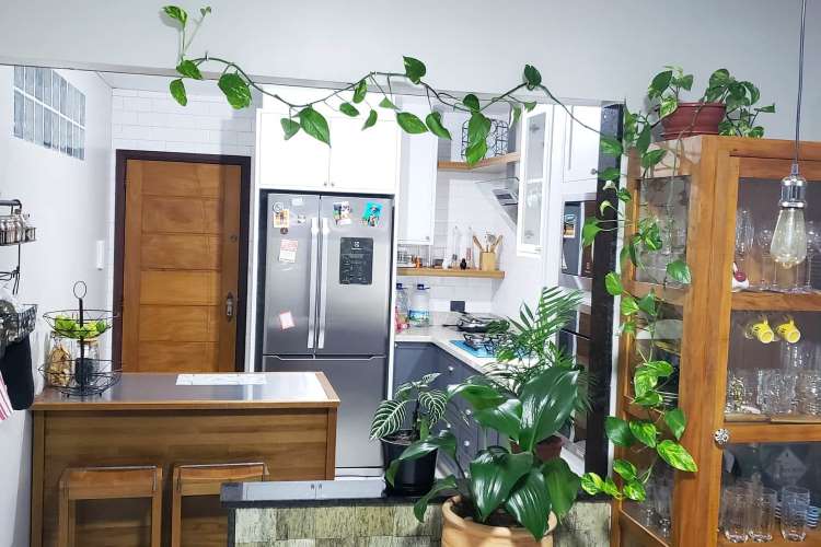Jiboia pendurada em cristeleira e pendente na parede que liga a sala com a cozinha