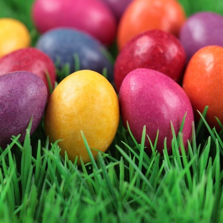 Ovos de Páscoa coloridos num gramado. Foto de ovos no gramado.