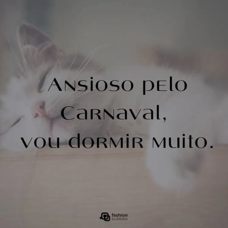 Foto de gato branco dormindo e frase: Ansioso pelo Carnaval, vou dormir muito.