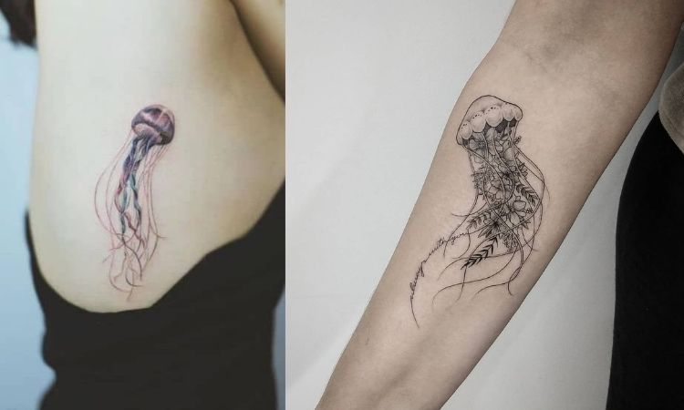 tatuagem de água-viva