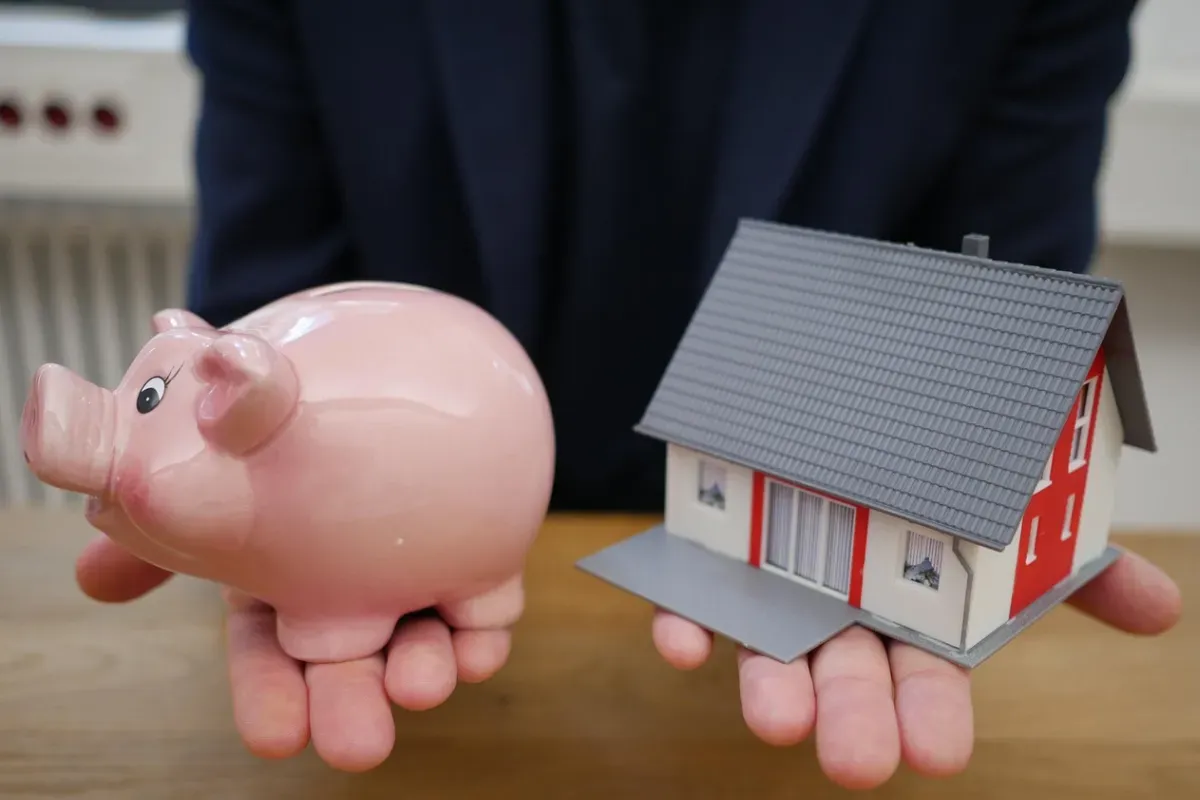 Pessoa segurando porco e casa em miniatura