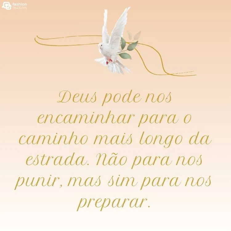 Imagem de um pomba branca da paz (Espírito Santo) com um ramo e o fundo rosa claro. Abaixo, há a frase "Deus pode nos encaminhar para o caminho mais longo da estrada. Não para nos punir, mas sim para nos preparar."
