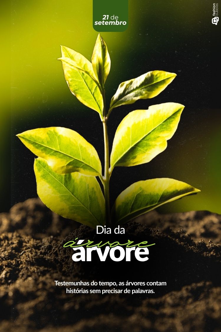 A imagem destaca um jovem broto verde e amarelo brotando da terra escura. No topo, a data "21 de setembro" aparece, e abaixo, "Dia da Árvore" com a mensagem: "Testemunhas do tempo, as árvores contam histórias sem precisar de palavras."







