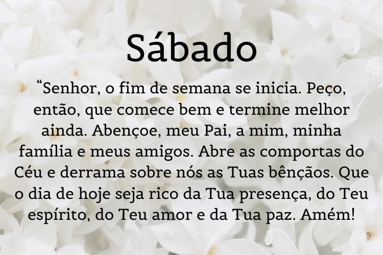 oração de bom dia sobre foto de flores brancas