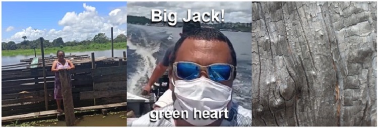 Jack Tour