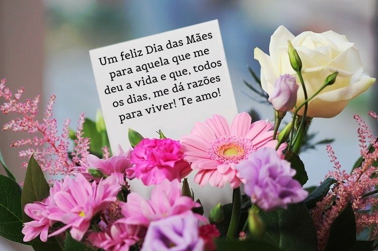 Foyo de cesta com flores rosas e cartão branco com frase "Um feliz Dia das Mães para aquela que me deu a vida e que, todos os dias, me dá razões para viver! Te amo!"