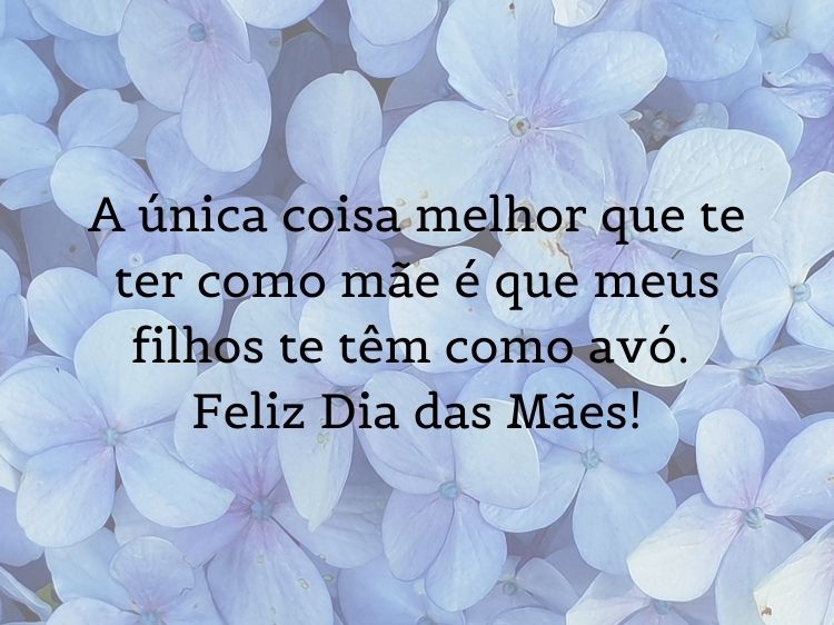 Foto de flores azuis com frase "A única coisa melhor que te ter como mãe é que meus filhos te têm como avó. Feliz Dia das Mães! "