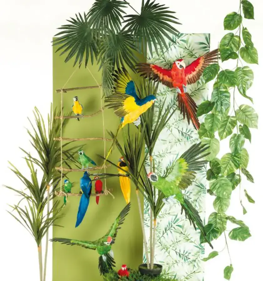 Inspiração para vitrine temática Amazônia