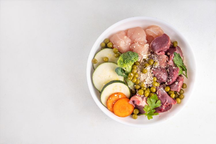 Tigela branca contendo alimentação natural para cães, com cortes de frango cru, carne de órgão, abobrinha, cenoura, brócolis, ervilhas e aveia. Os ingredientes frescos estão bem organizados sobre uma superfície branca, destacando uma refeição saudável e equilibrada.





