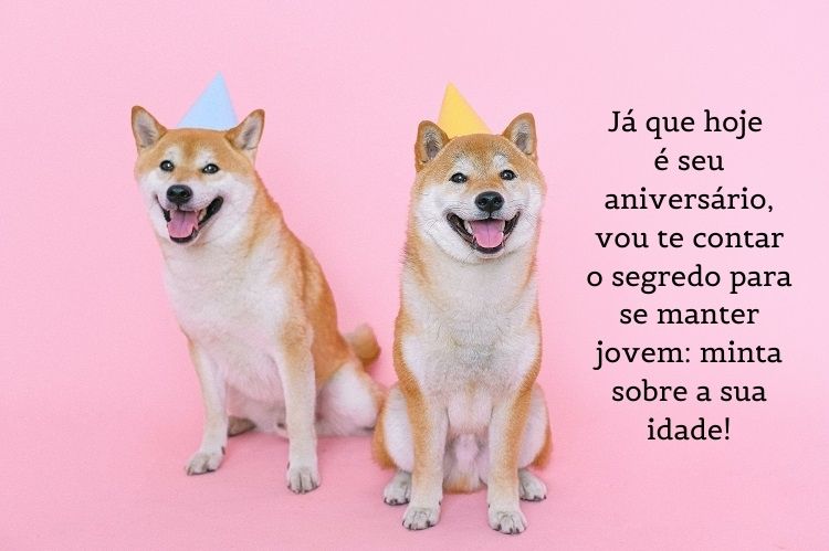 cartão virtual de feliz aniversário divertido com dois cães de chapéu em fundo rosa e frase "Já que hoje é seu aniversário, vou te contar o segredo para se manter jovem: minta sobre a sua idade!"