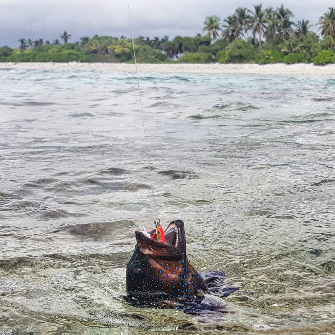 hithadhoo