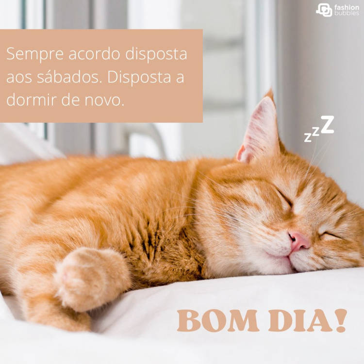 Foto de gato laranja dormindo e frase "Sempre acordo disposta aos sábados. Disposta a dormir de novo. Bom dia!"