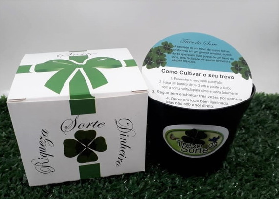 Mini presente - Kit da sorte contendo sementes de trevo