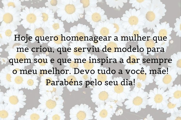 Foto de flores brancas com frase "Hoje quero homenagear a mulher que me criou, que serviu de modelo para quem sou e que me inspira a dar sempre o meu melhor. Devo tudo a você, mãe! Parabéns pelo seu dia!"