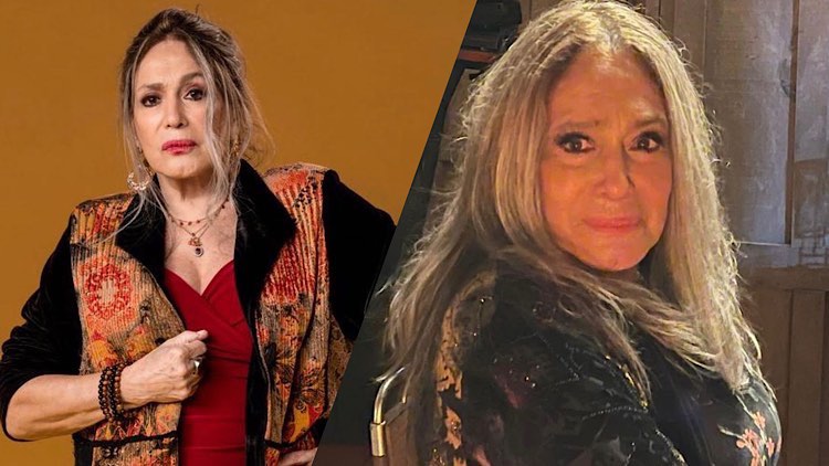 Susana Vieira, Terra e Paixão.