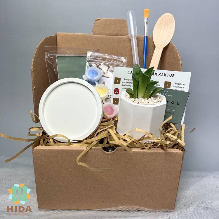 Kit pintura de pote de planta de gesso