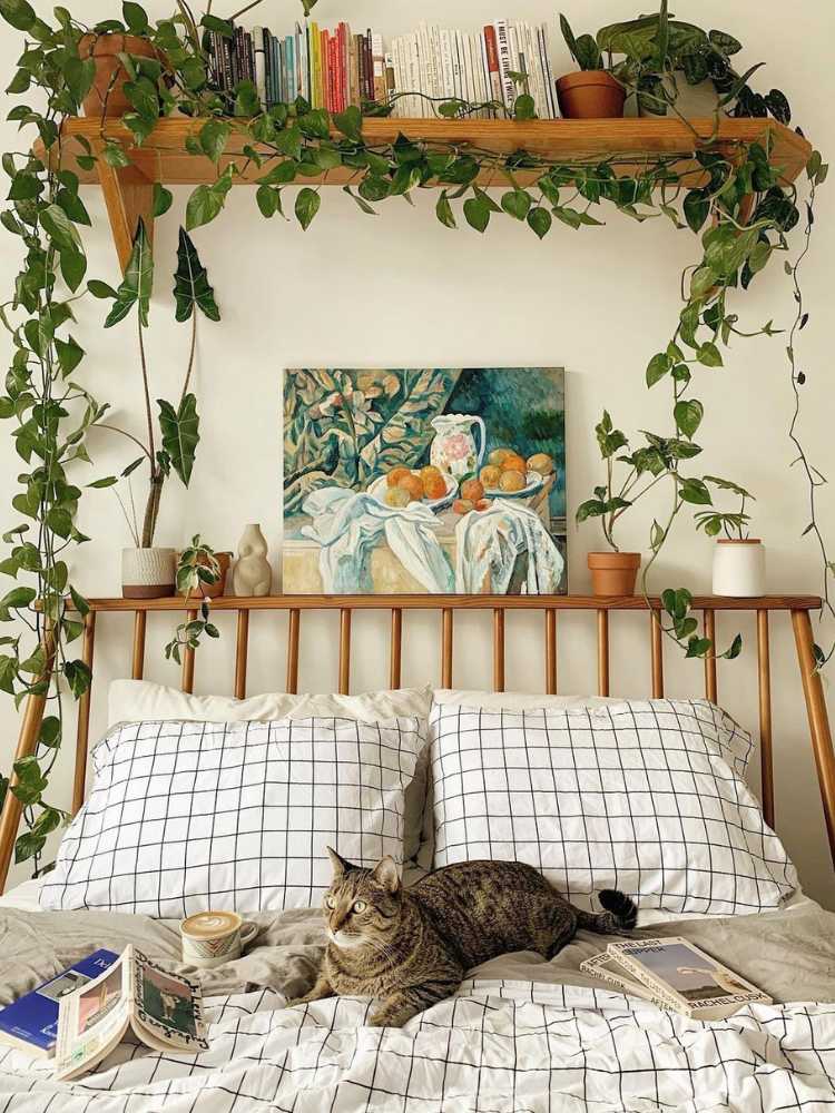 Quarto com cama de casal, gato sobre ela e planta pendente em prateleira acima da cama