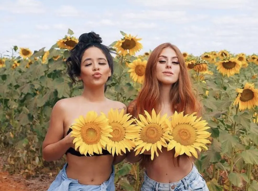 Amigas em campo de girassol 