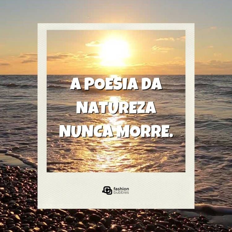 Foto de pôr do sol na praia e frase "A poesia da natureza nunca morre."
