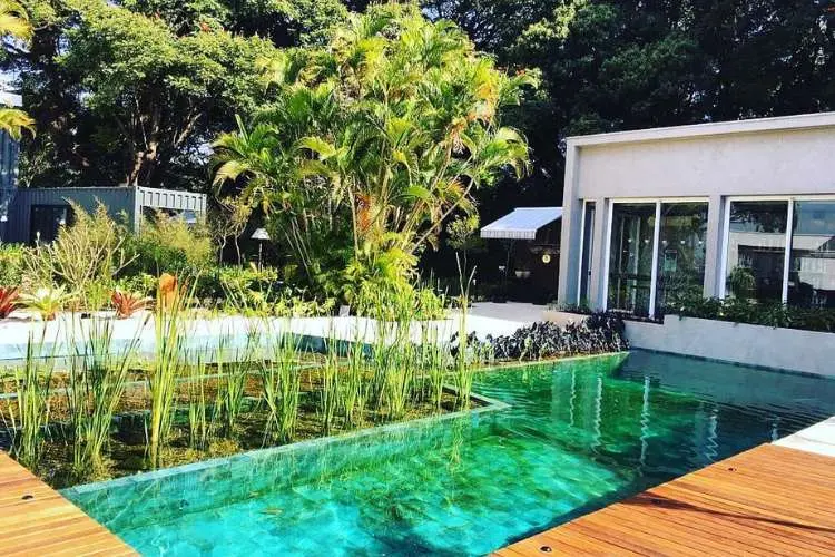 Piscina biológica em casa branca, com árvores ao redor. 