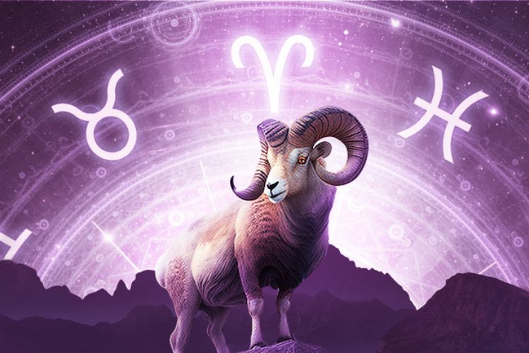 Carneiro, símbolo do signo de Áries, com céu ao fundo com signos
