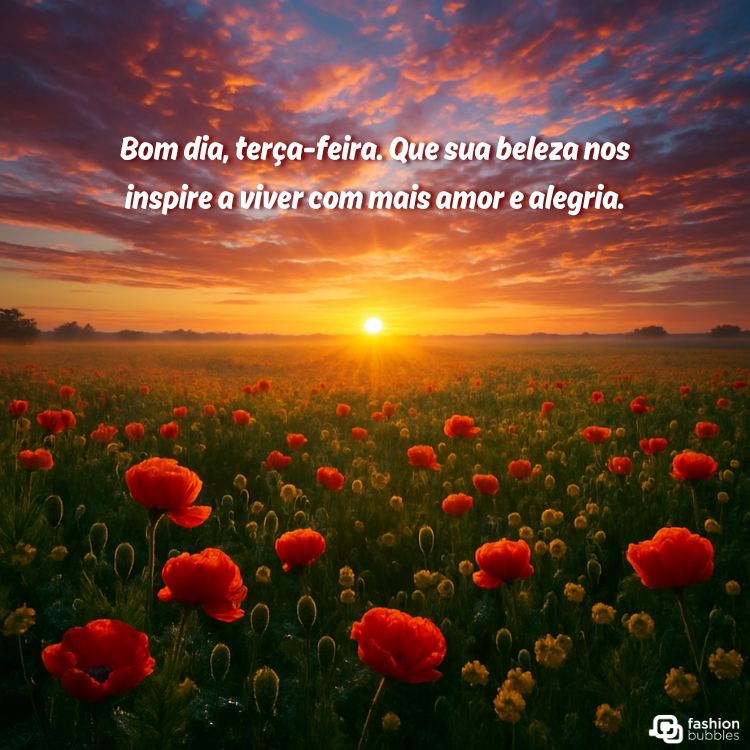 A imagem exibe um nascer do sol deslumbrante sobre um campo florido, com papoulas vermelhas em destaque no primeiro plano e outras flores amarelas. O céu apresenta tons quentes de laranja, rosa e roxo, com nuvens dramáticas. A frase "Bom dia, terça-feira. Que sua beleza nos inspire a viver com mais amor e alegria." está em destaque.







