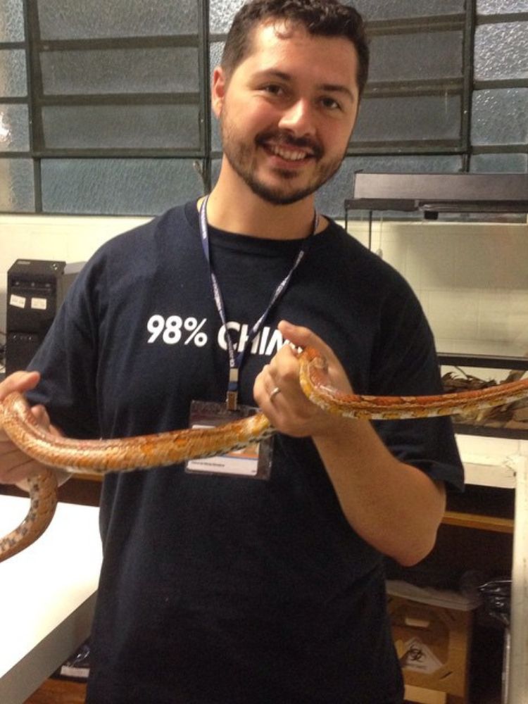 Atila jovem usando camiseta preta com escrito em branco, crachá e segurando cobra marrom no Butantã