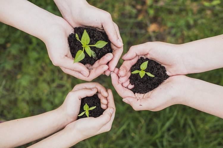 três pares de mãos segurando mudas de plantas