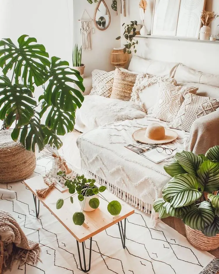 Planta calathea na decoração de uma sala de estar confortável com cores neutras