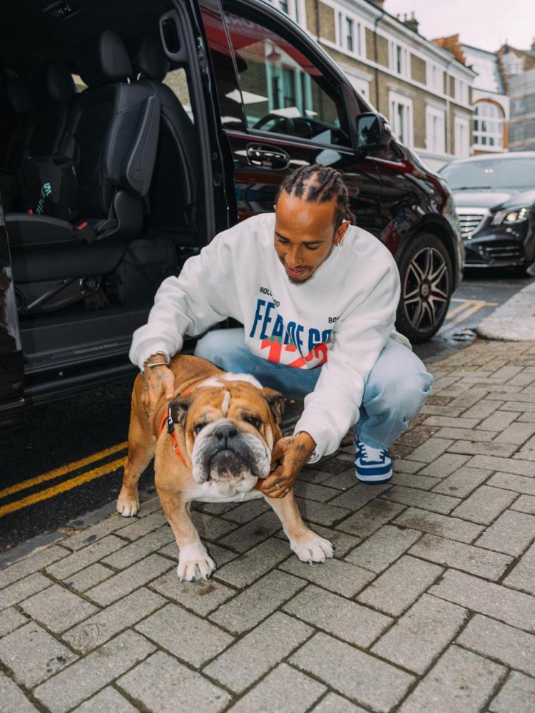 Lewis Hamilton de sueter branco e calça jeans abaixado ao lado do bulldog Roscoe