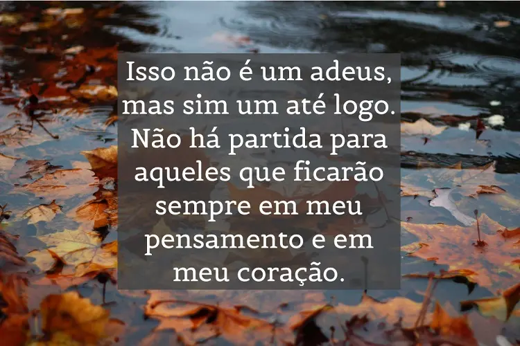 Foto de lago com folhas e fase:  Isso não é um adeus, mas sim um até logo. Não há partida para aqueles que ficarão sempre em meu pensamento e em meu coração.
