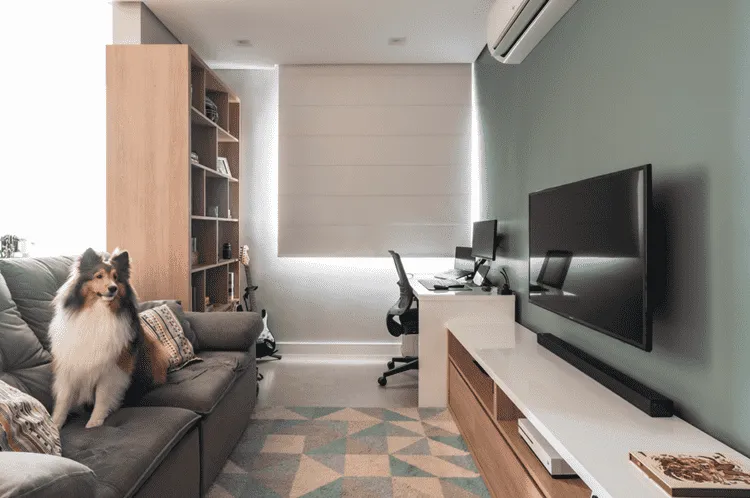 Sala com paredes brancas e verdes, sofá cinza com cachorro, rack branco e madeira, estante, home office e tapete geométrico