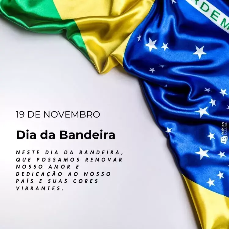 A imagem exibe a bandeira do Brasil parcialmente dobrada, com destaque para as cores verde, amarelo e azul, e as estrelas no círculo azul. À esquerda, em fundo branco, está escrito: "19 de Novembro, Dia da Bandeira". Abaixo, lê-se: "Neste Dia da Bandeira, que possamos renovar nosso amor e dedicação ao nosso país e suas cores vibrantes."


