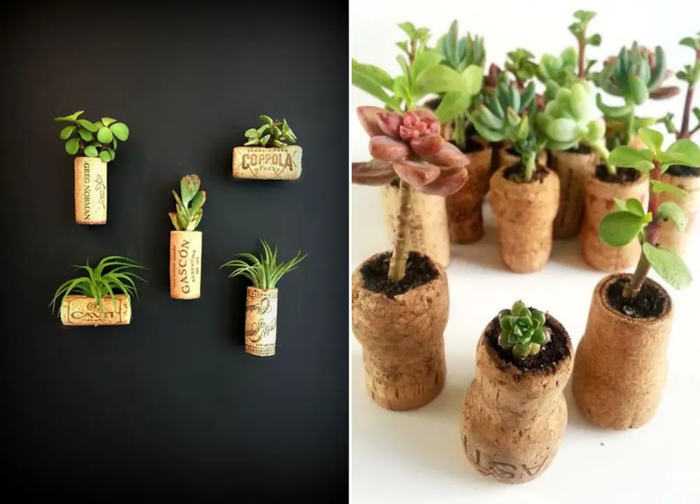 Lembrancinhas DIY: suculentas em rolhas de vinho