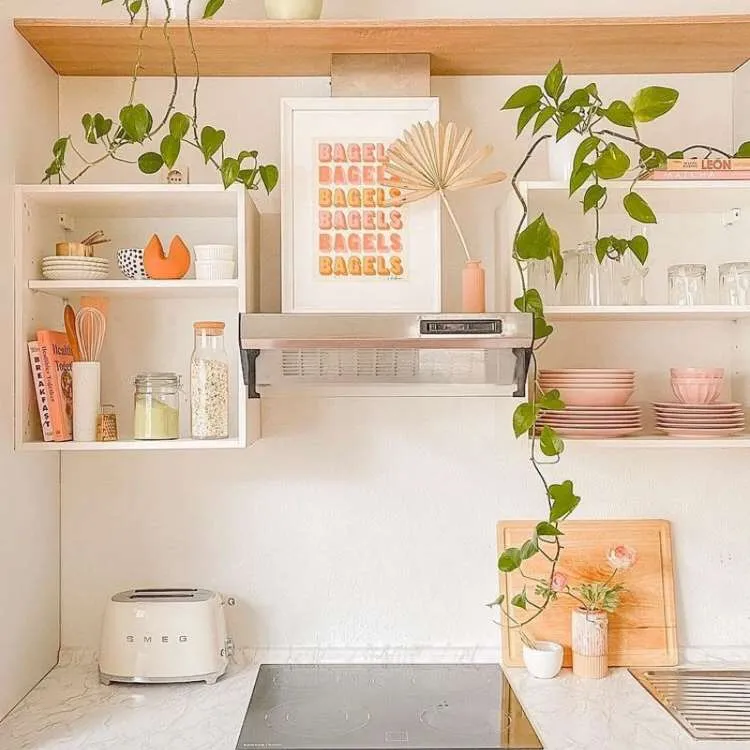 Jiboia pendente em cozinha rosa com prateleiras abertas, fogão por indução, e quadro.