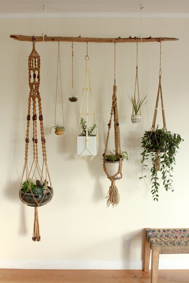 Varal de plantas