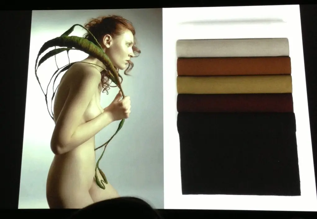 cartela de cores 2015 2016