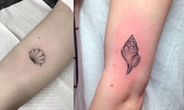 duas opções de tatuagem de concha no braço