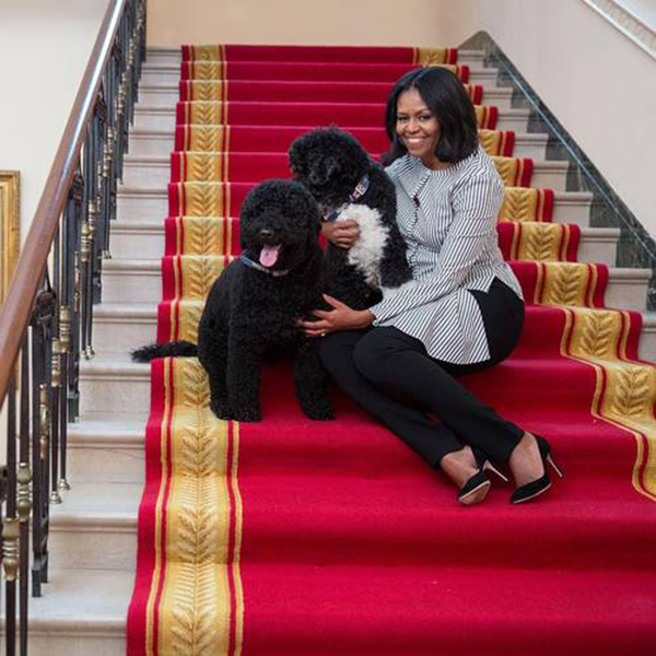Michelle Obama de camisa listrada, cala preta, salto, sentada em escada ao lado de dois cães de água português