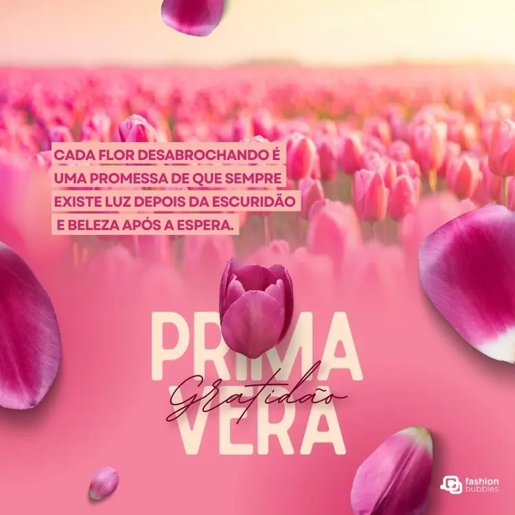 Card com tulipas rosas e frase: Cada flor desabrochando é uma promessa de que sempre existe luz depois da escuridão e beleza após a espera. Gratidão, primavera!
