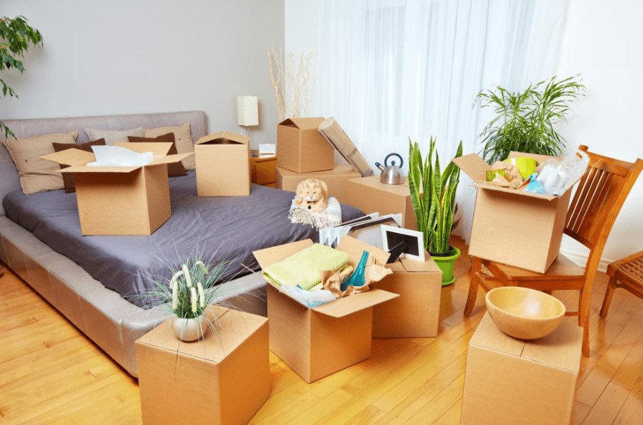 Foto de quarto com caixas de mudança - mudar de casa