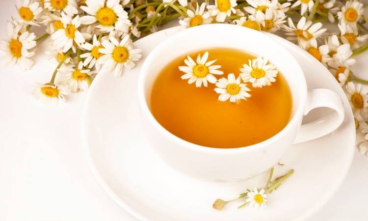 Bebida de flores para dor de garganta. Chá de camomila.
