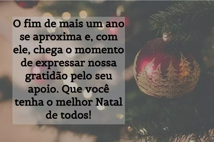 Foto de decoração de árvore natalina e frase " O fim de mais um ano se aproxima e, com ele, chega o momento de expressar nossa gratidão pelo seu apoio. Que você tenha o melhor Natal de todos!"