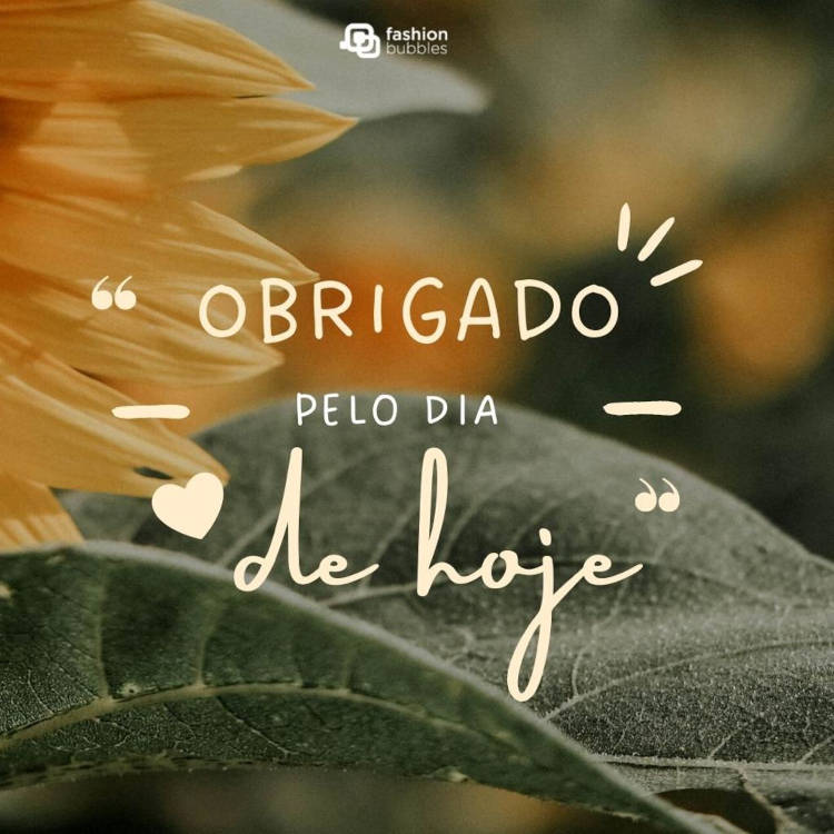 Obrigado pelo dia de hoje! Foto de girassol com frase "Obrigado pelo dia de hoje!"