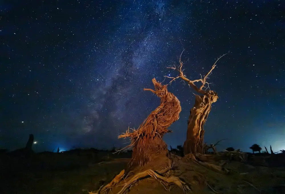 foto vencedora do Mobile Photography Awards