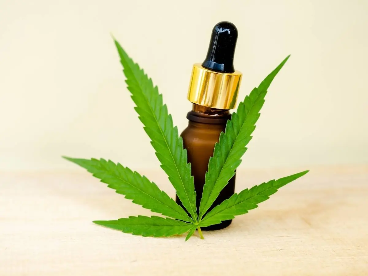 Vidro de óleo de canabidiol atrás de uma folha de maconha.