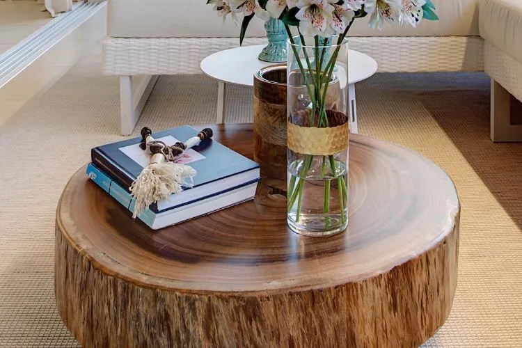 Parte de tronco de árvore como mesa de centro, com livros e vaso transparente com flor em cima. 