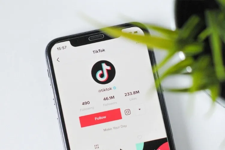 Foto de tela de celular aberta em perfil após remover todos os seguidores do TikTok de uma vez