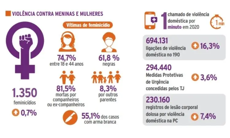 infográfico mostra violência contra meninas e mulheres no Brasil em 2020 violência contra meninas e mulheres