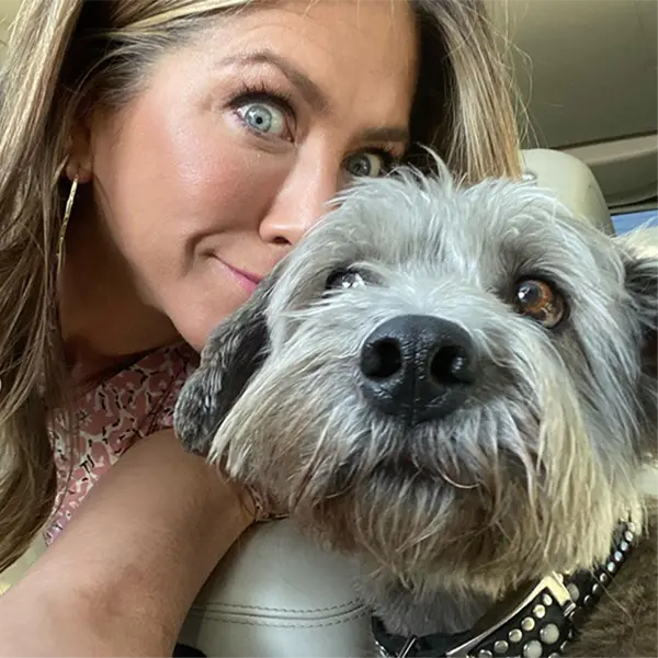 Selfie de Jennifer Aniston com cachorro cinza 
